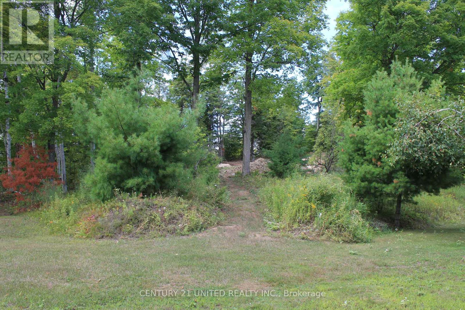 45 Fire Route 223, Trent Lakes, Ontario  K0L 1J0 - Photo 36 - X12920146