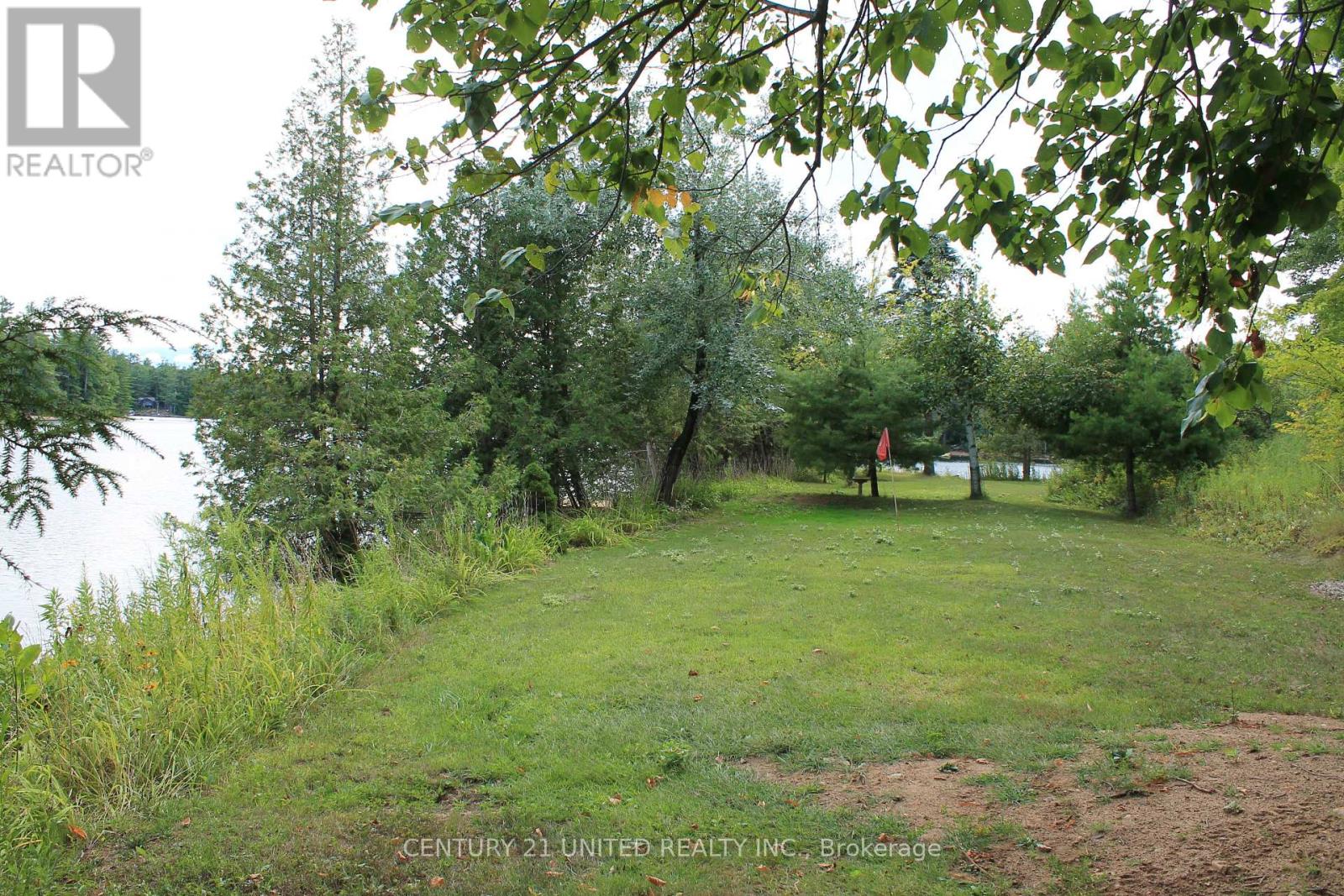 45 Fire Route 223, Trent Lakes, Ontario  K0L 1J0 - Photo 39 - X12920146