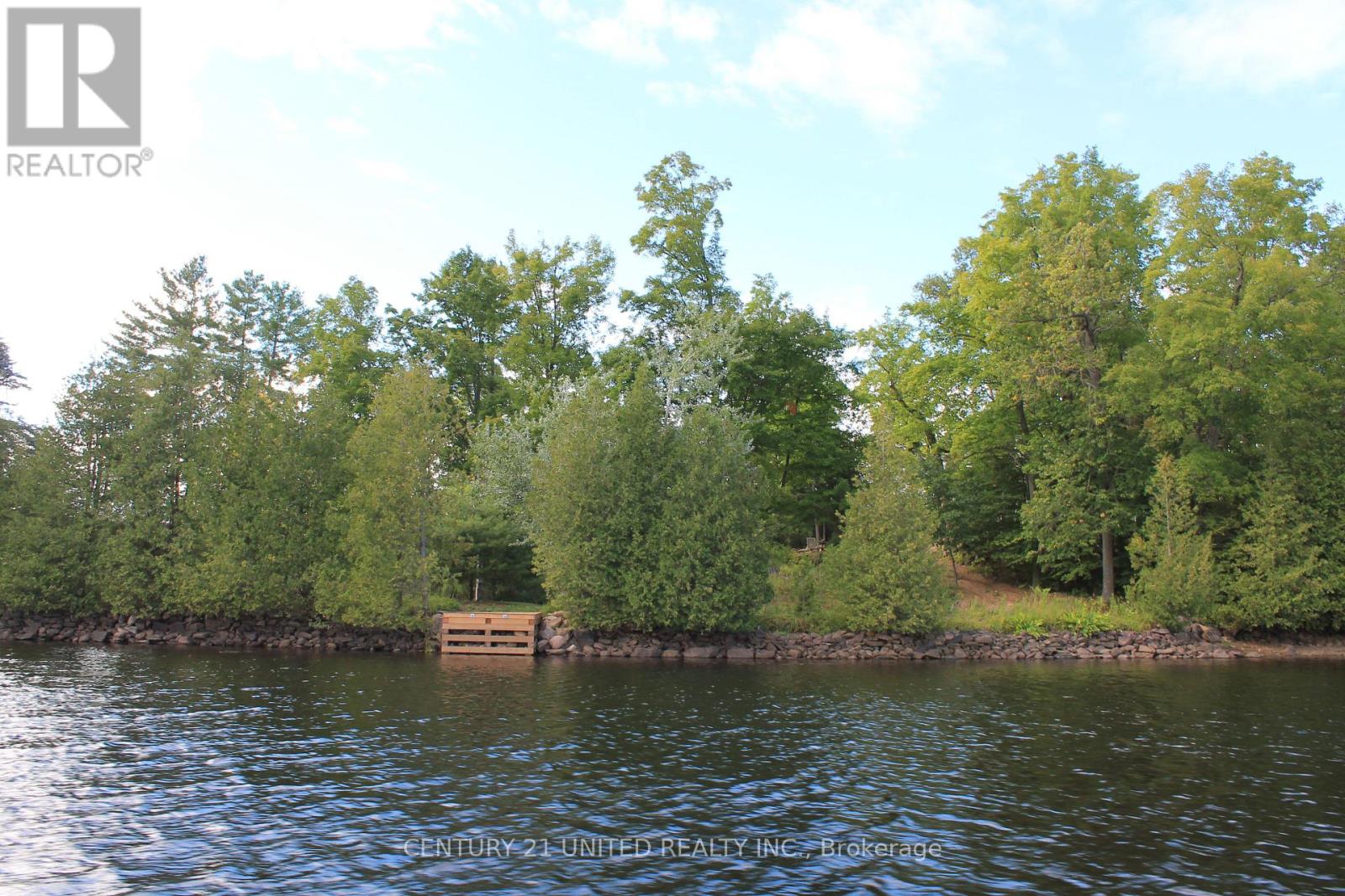 45 Fire Route 223, Trent Lakes, Ontario  K0L 1J0 - Photo 41 - X12920146