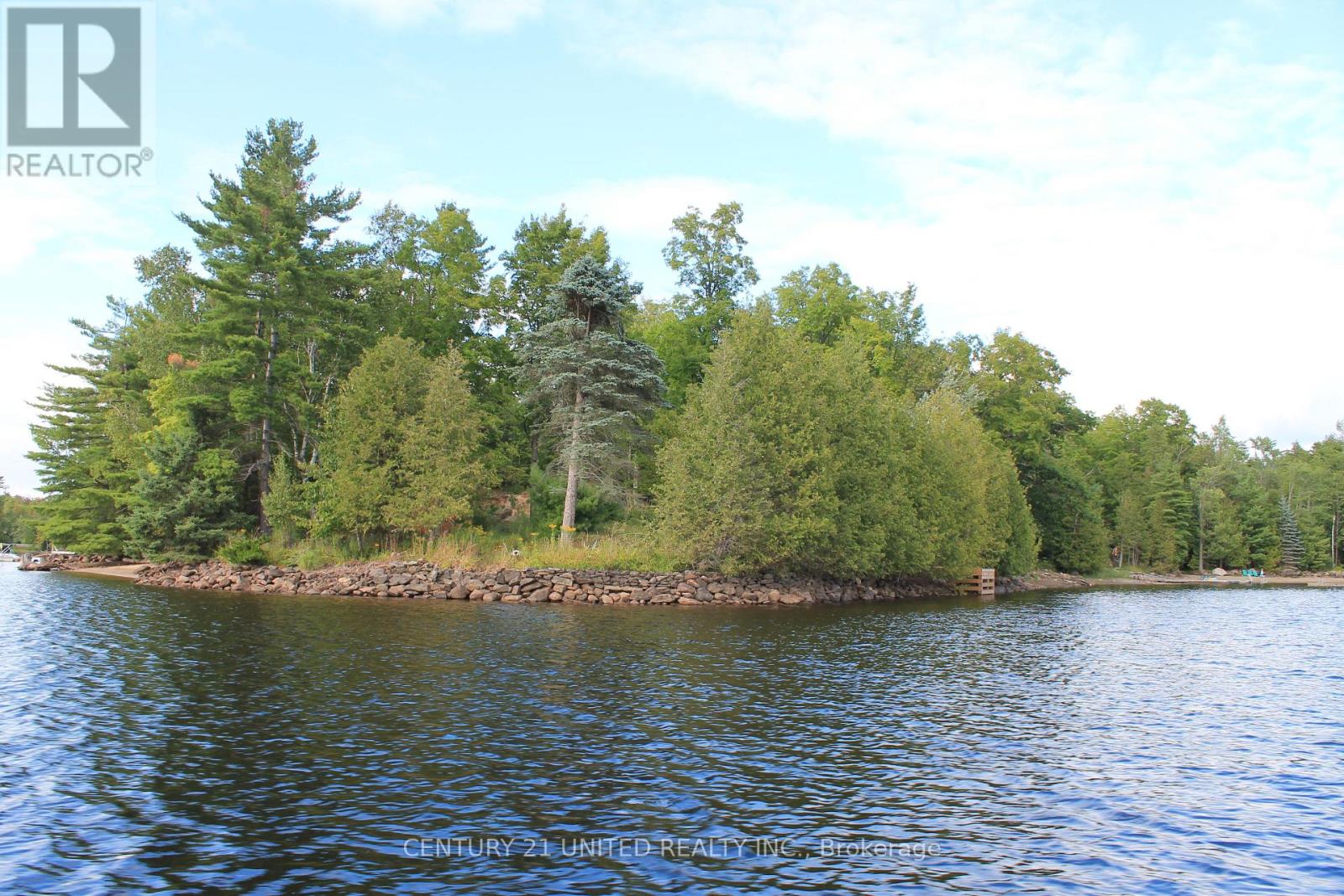 45 Fire Route 223, Trent Lakes, Ontario  K0L 1J0 - Photo 42 - X12920146