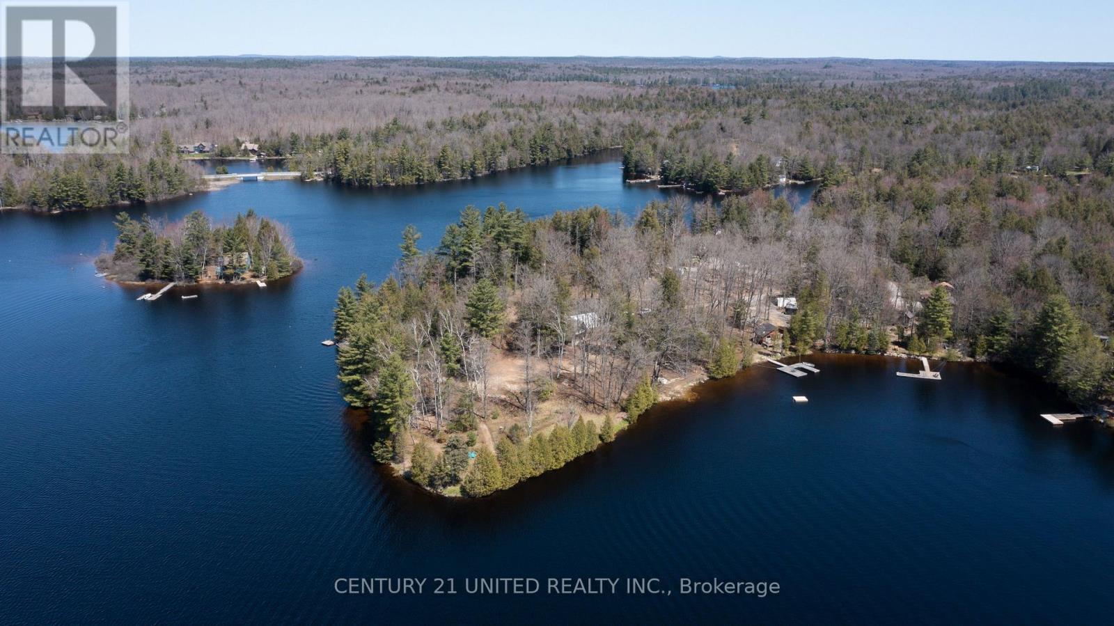 45 Fire Route 223, Trent Lakes, Ontario  K0L 1J0 - Photo 6 - X12920146