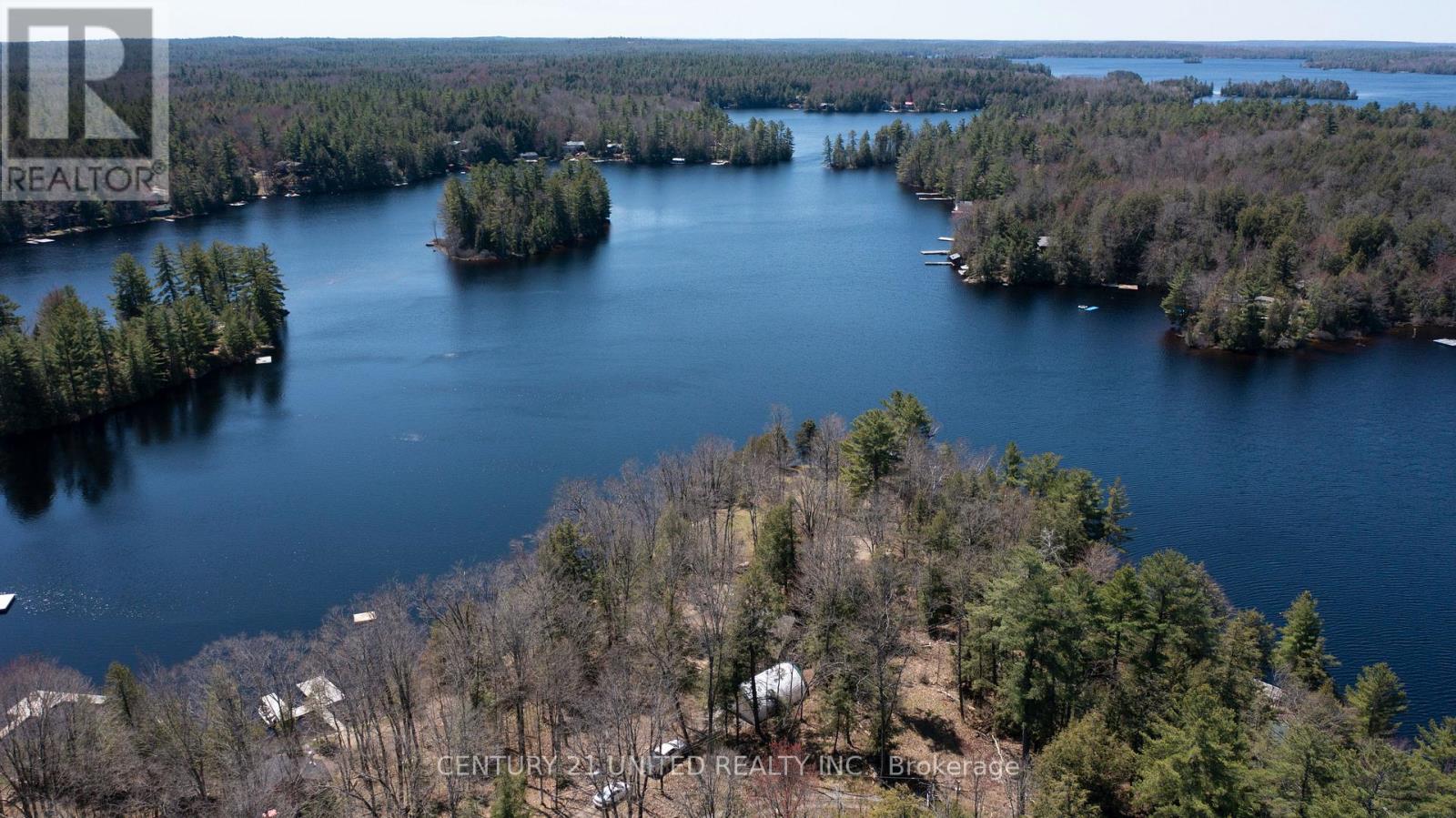 45 Fire Route 223, Trent Lakes, Ontario  K0L 1J0 - Photo 7 - X12920146