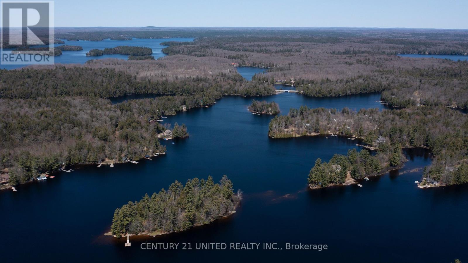 45 Fire Route 223, Trent Lakes, Ontario  K0L 1J0 - Photo 8 - X12920146