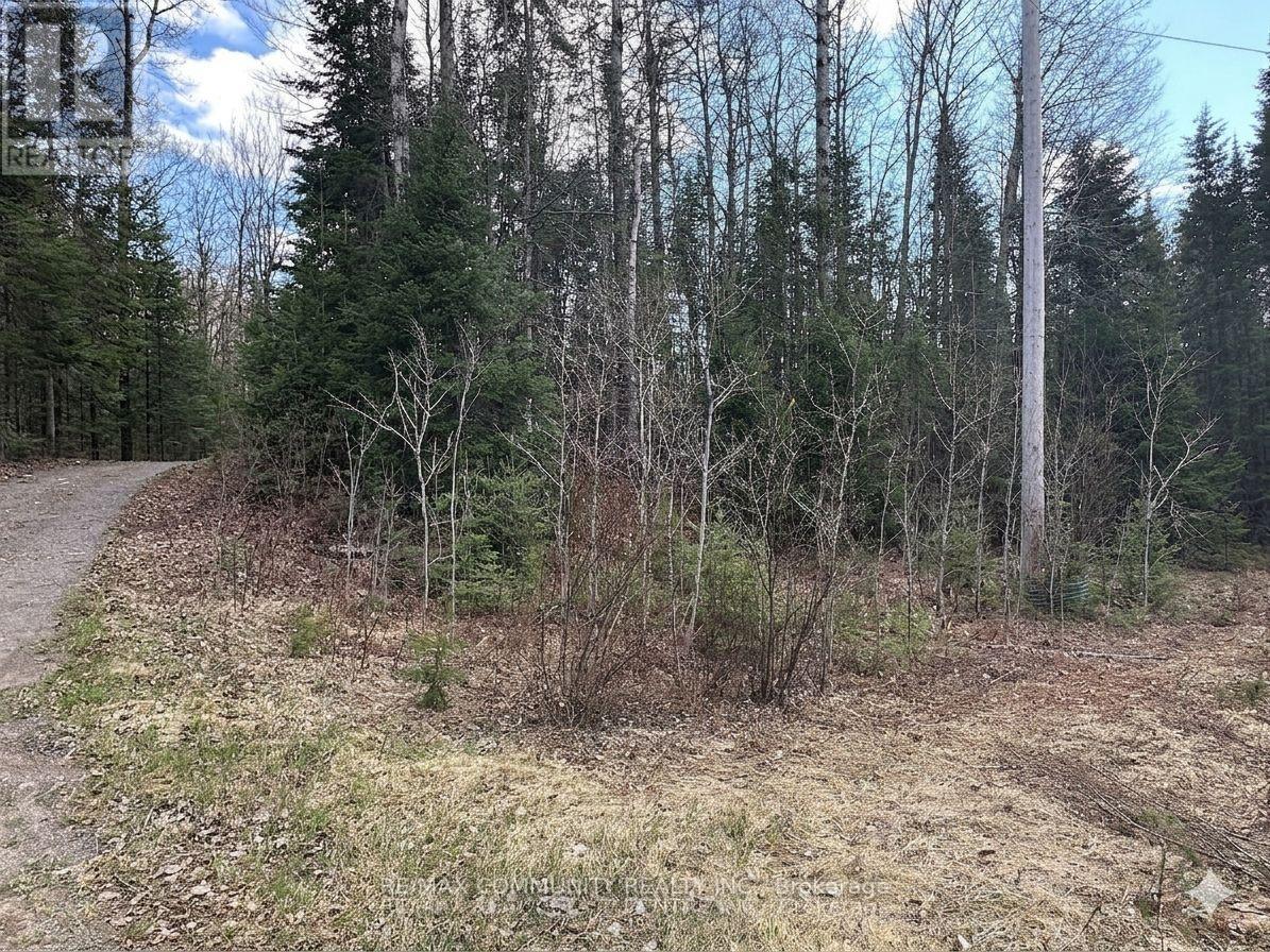12 Con 22 Cardiff Concession, Highlands East (Monmouth), Ontario  K0L 3C0 - Photo 13 - X12921818
