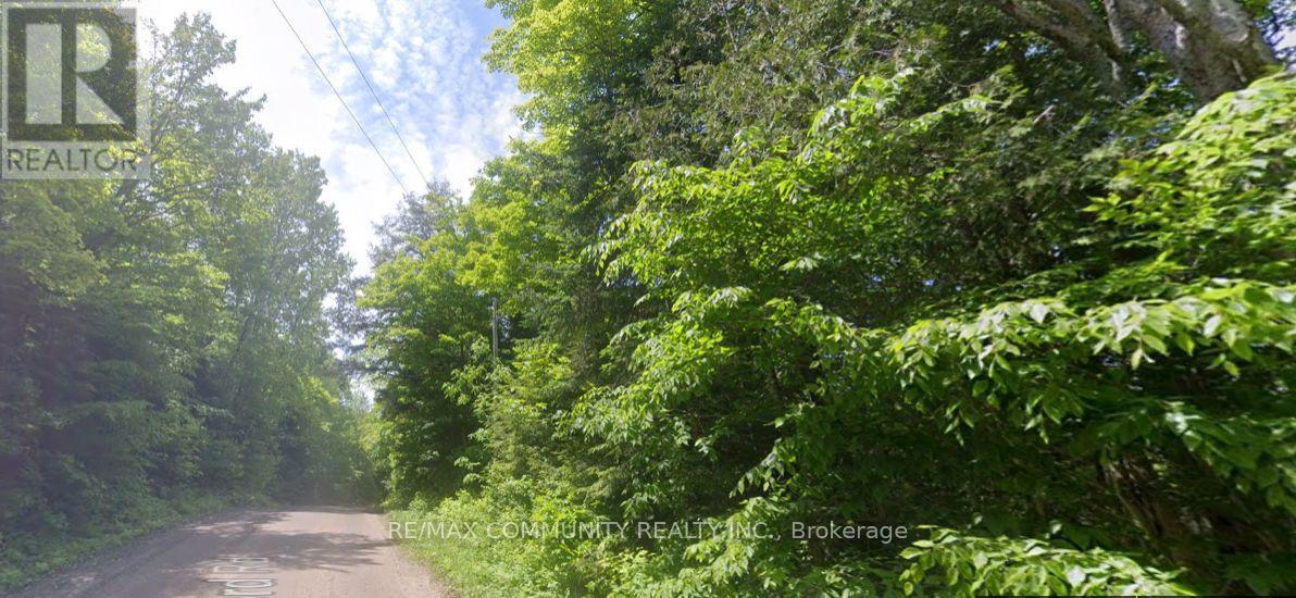 12 Con 22 Cardiff Concession, Highlands East (Monmouth), Ontario  K0L 3C0 - Photo 6 - X12921818