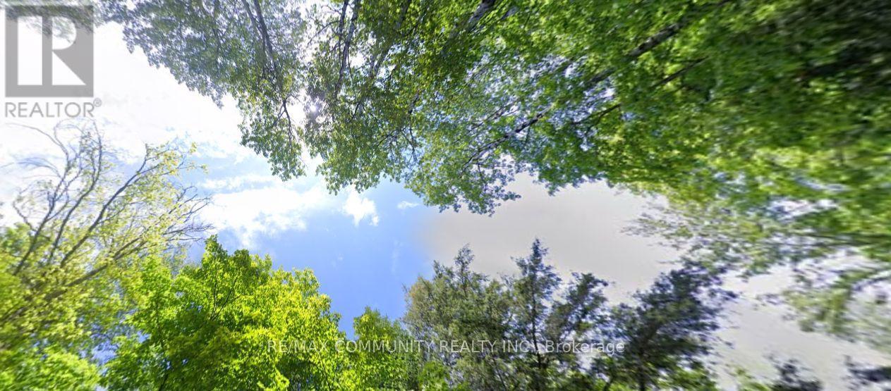 12 Con 22 Cardiff Concession, Highlands East (Monmouth), Ontario  K0L 3C0 - Photo 7 - X12921818