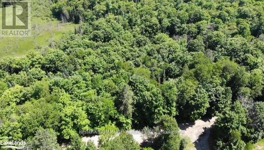 12 Con 22 Cardiff Concession, Highlands East (Monmouth), Ontario  K0L 3C0 - Photo 8 - X12921818