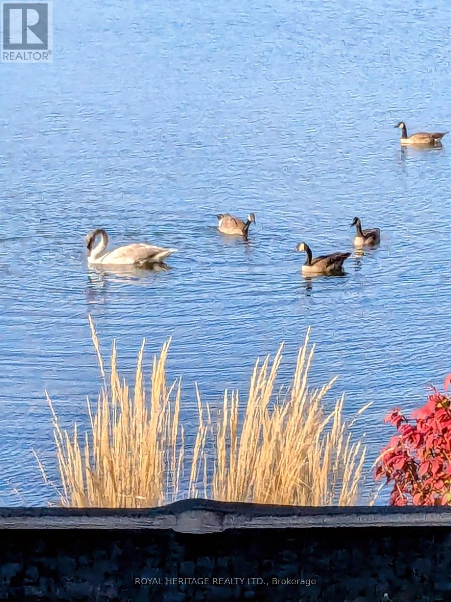 298 Fife Avenue, Selwyn, Ontario  K9J 6X3 - Photo 43 - X12922422