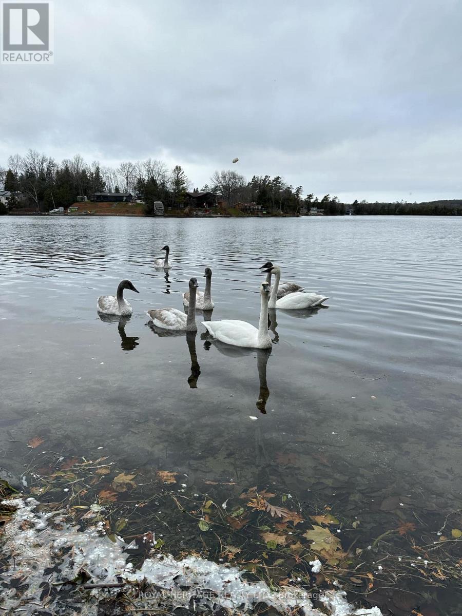 298 Fife Avenue, Selwyn, Ontario  K9J 6X3 - Photo 47 - X12922422