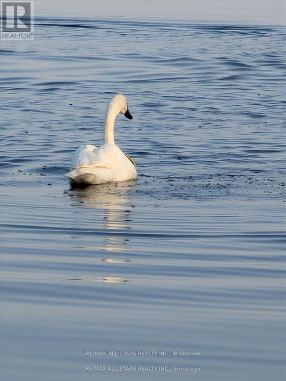 194 Snug Harbour Road, Kawartha Lakes (Fenelon), Ontario  K9V 4R6 - Photo 48 - X12922474