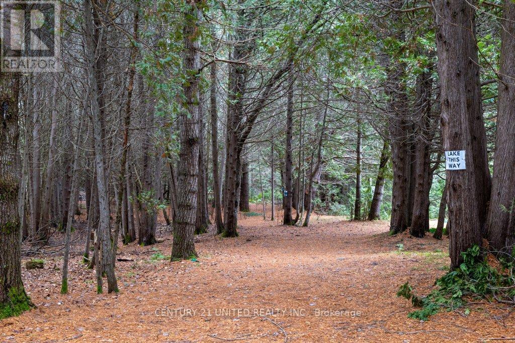 1080 Clydesdale Road, North Kawartha, Ontario  K0L 1A0 - Photo 42 - X12922858