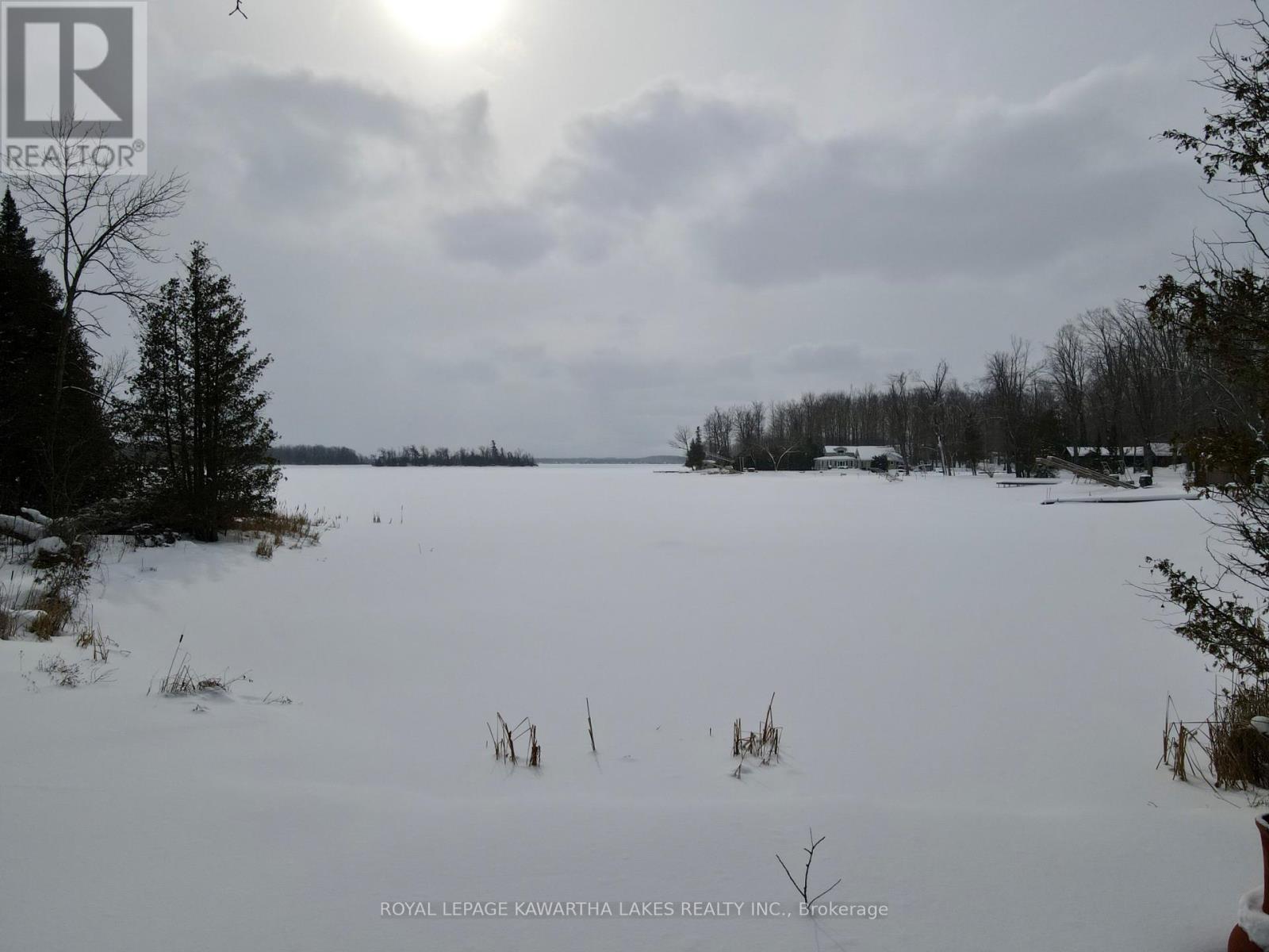 8 Fr 62 Street, Trent Lakes, Ontario  K0L 1J0 - Photo 47 - X12923638