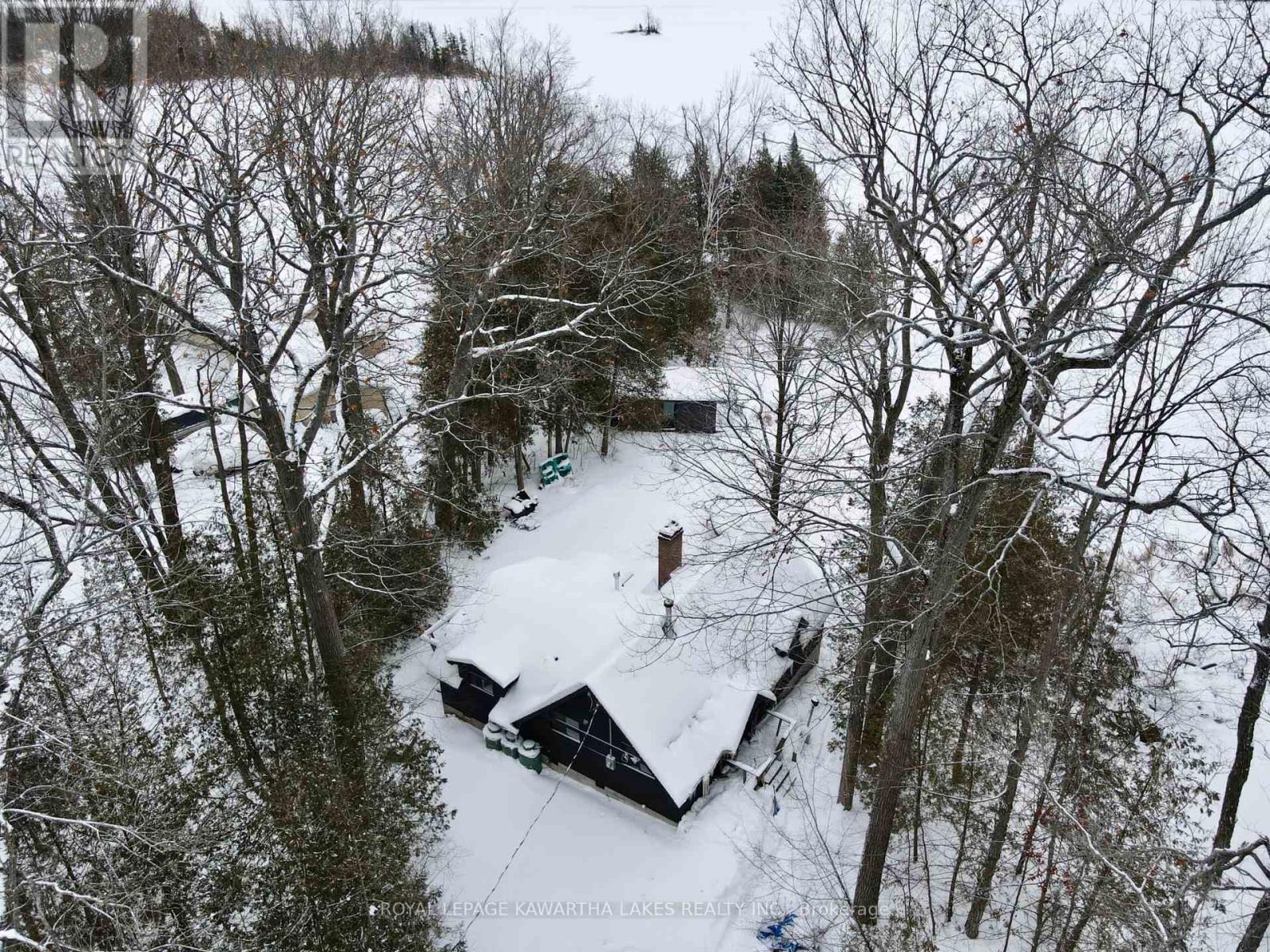 8 Fr 62 Street, Trent Lakes, Ontario  K0L 1J0 - Photo 6 - X12923638