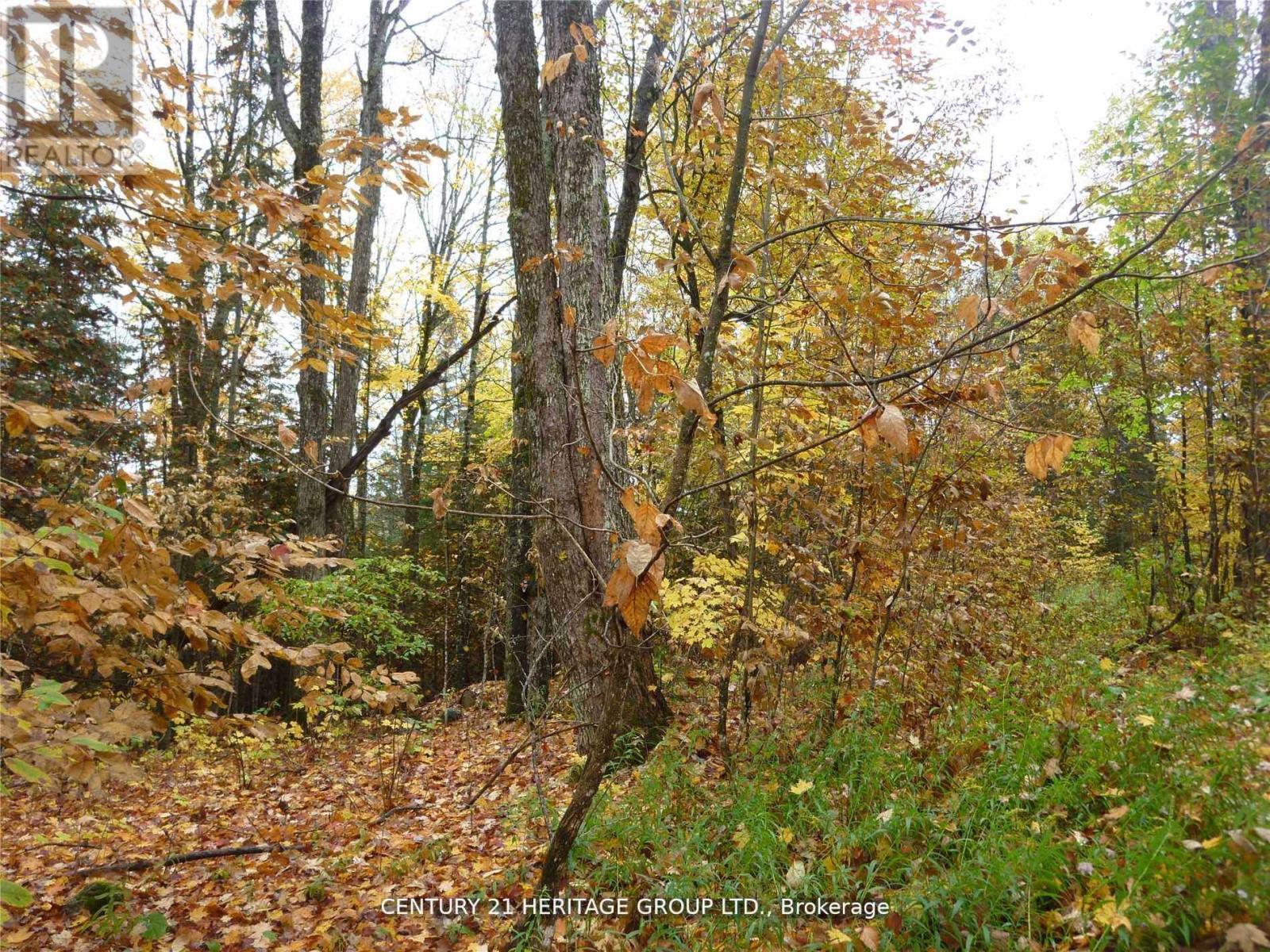 Pt Lot 8 Macduff Road, Highlands East (Monmouth), Ontario  K0L 2Y0 - Photo 4 - X12923692