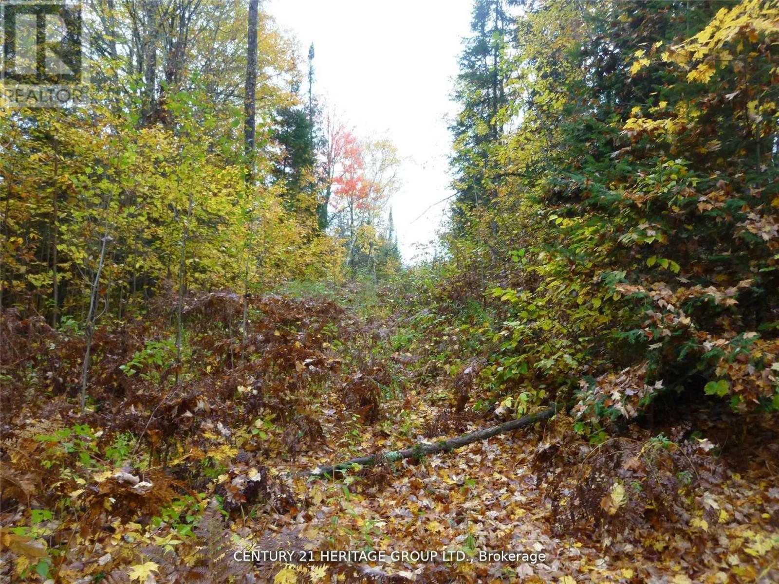 Pt Lot 8 Macduff Road, Highlands East (Monmouth), Ontario  K0L 2Y0 - Photo 5 - X12923692