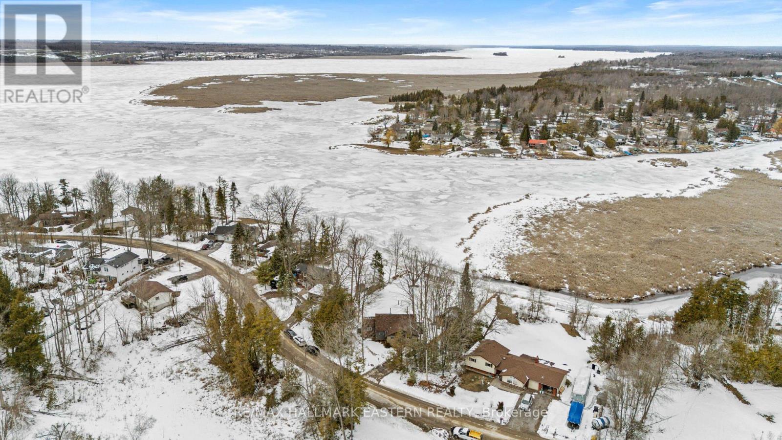 70 Birch Point Drive, Kawartha Lakes (Emily), Ontario  K0L 1T0 - Photo 41 - X12923968