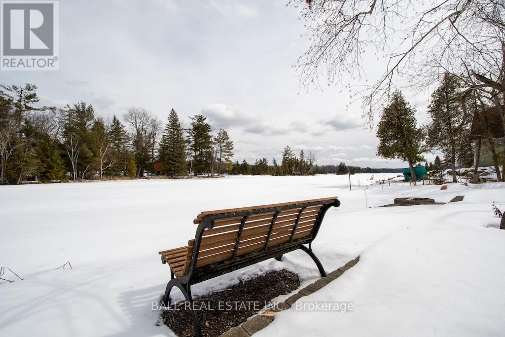 2137 Chipmunk Road, Douro-Dummer, Ontario  K0L 2H0 - Photo 28 - X12924610