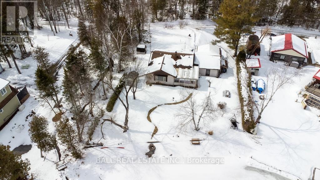 2137 Chipmunk Road, Douro-Dummer, Ontario  K0L 2H0 - Photo 35 - X12924610