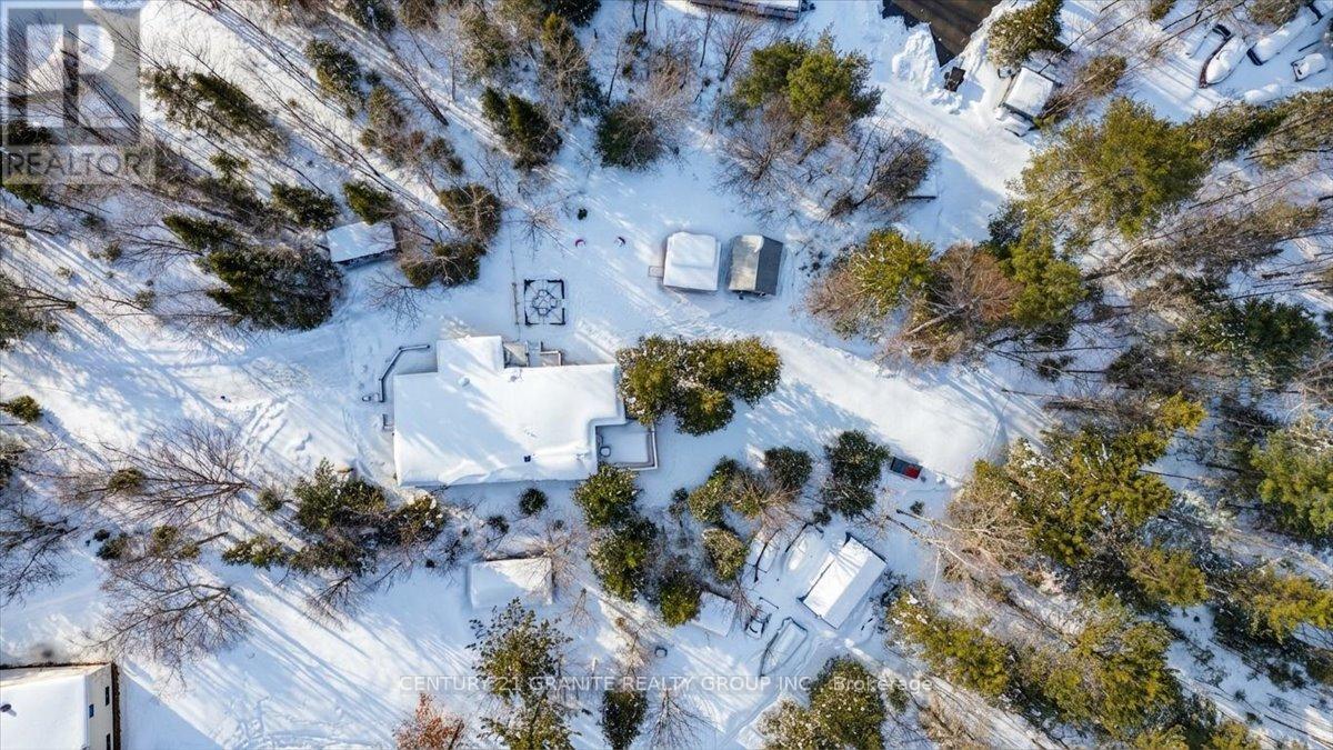 19 High Bush Road, Hastings Highlands (Mcclure Ward), Ontario  K0L 2K0 - Photo 34 - X12925190