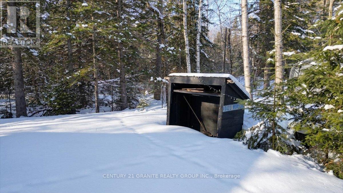 19 High Bush Road, Hastings Highlands (Mcclure Ward), Ontario  K0L 2K0 - Photo 37 - X12925190