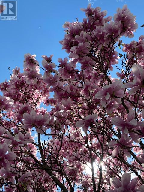 81 Hart Boulevard, Clarington (Newcastle), Ontario  L1B 1E4 - Photo 38 - E12925486