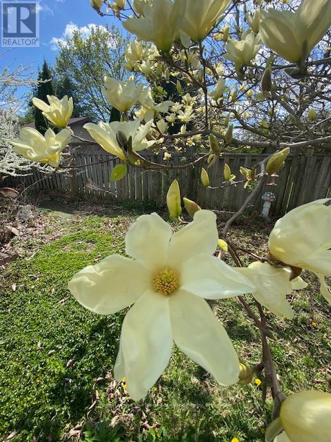 81 Hart Boulevard, Clarington (Newcastle), Ontario  L1B 1E4 - Photo 39 - E12925486