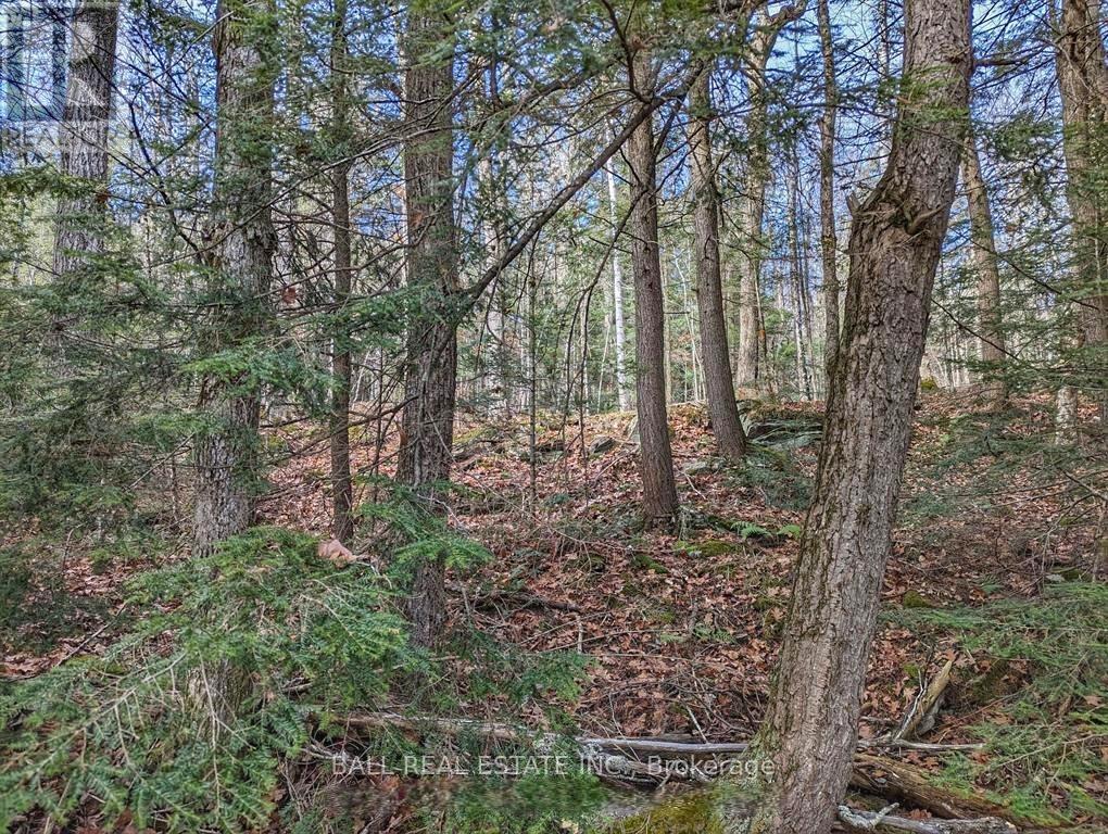 126 Fire Route 67, Havelock-Belmont-Methuen, Ontario  K0L 1Z0 - Photo 10 - X12926220