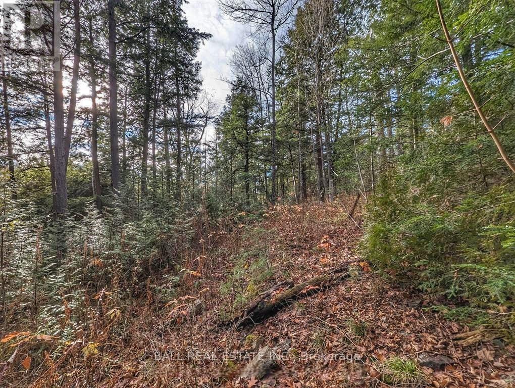 126 Fire Route 67, Havelock-Belmont-Methuen, Ontario  K0L 1Z0 - Photo 11 - X12926220