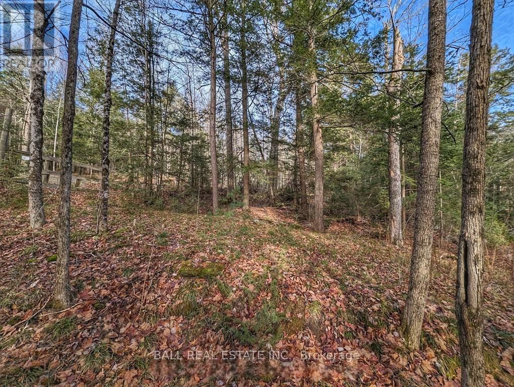 126 Fire Route 67, Havelock-Belmont-Methuen, Ontario  K0L 1Z0 - Photo 12 - X12926220