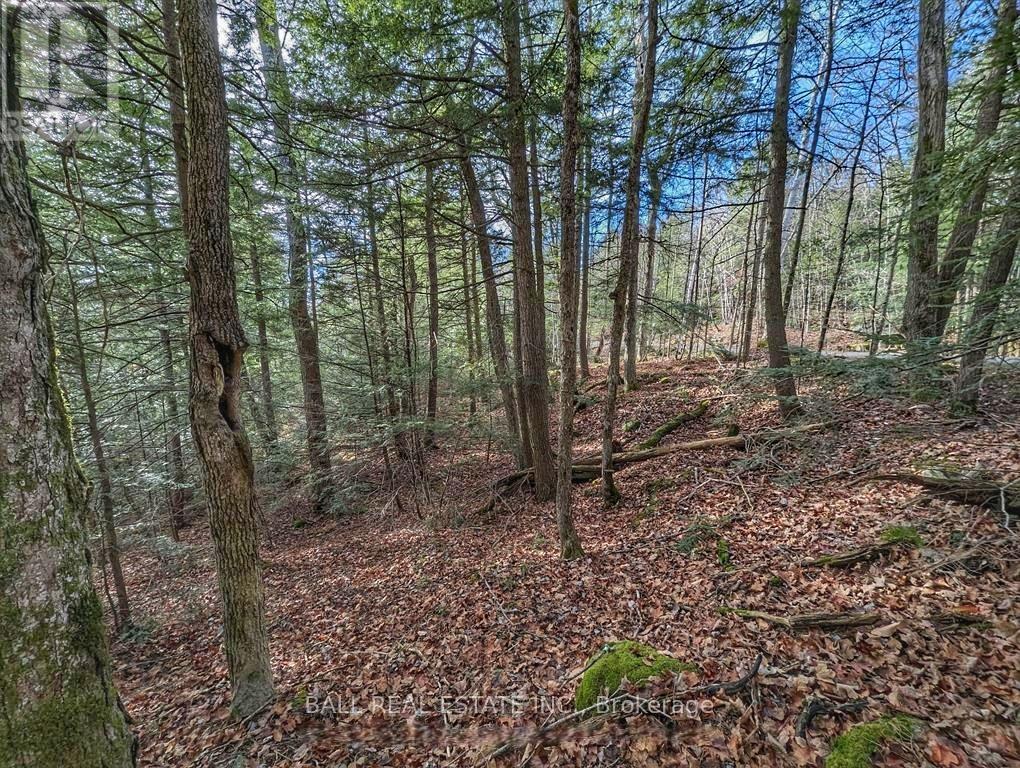 126 Fire Route 67, Havelock-Belmont-Methuen, Ontario  K0L 1Z0 - Photo 13 - X12926220