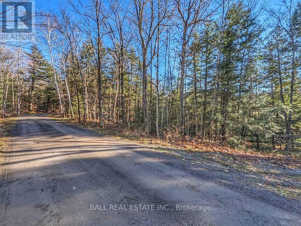 126 Fire Route 67, Havelock-Belmont-Methuen, Ontario  K0L 1Z0 - Photo 14 - X12926220