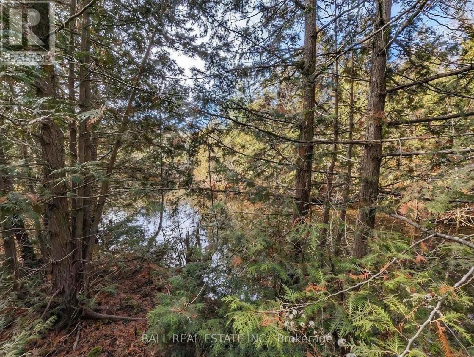 126 Fire Route 67, Havelock-Belmont-Methuen, Ontario  K0L 1Z0 - Photo 15 - X12926220