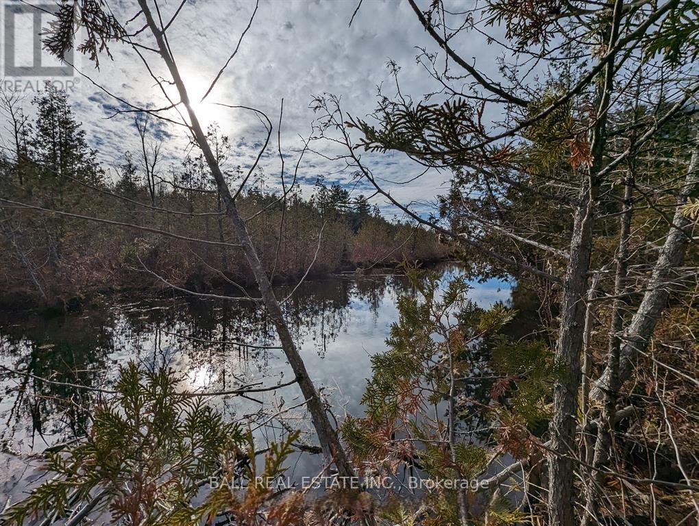 126 Fire Route 67, Havelock-Belmont-Methuen, Ontario  K0L 1Z0 - Photo 3 - X12926220