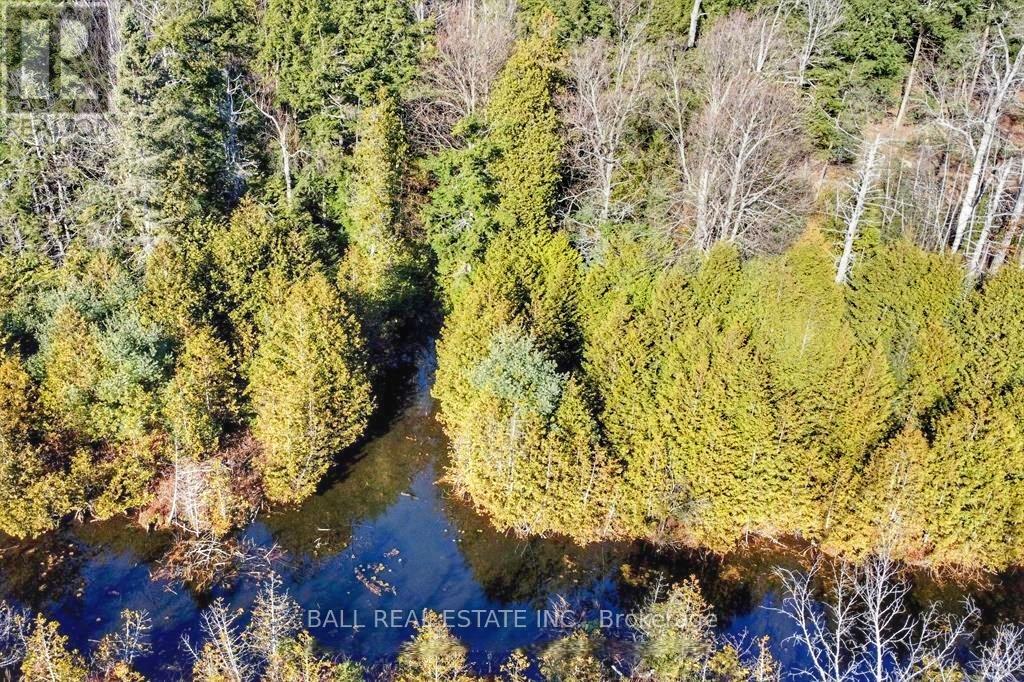 126 Fire Route 67, Havelock-Belmont-Methuen, Ontario  K0L 1Z0 - Photo 4 - X12926220