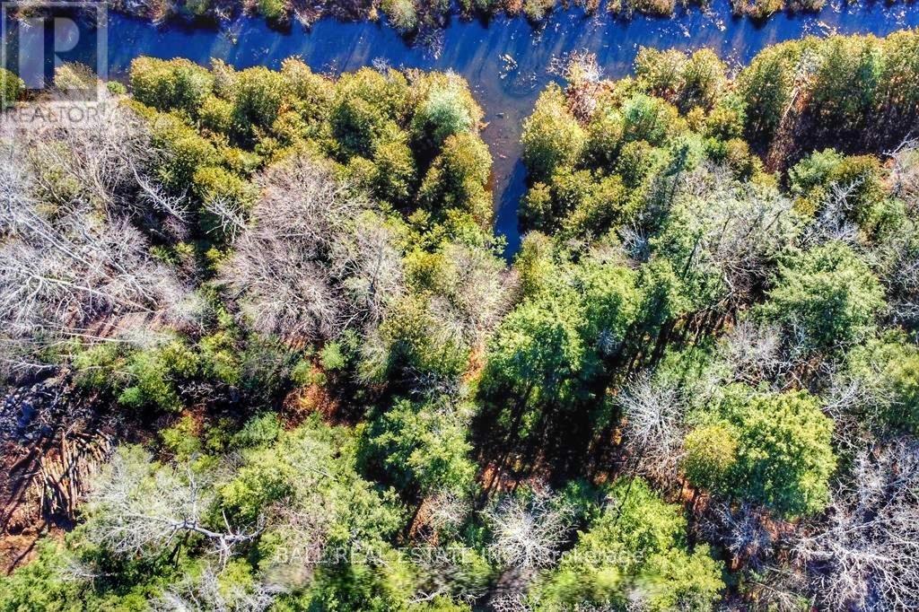 126 Fire Route 67, Havelock-Belmont-Methuen, Ontario  K0L 1Z0 - Photo 6 - X12926220