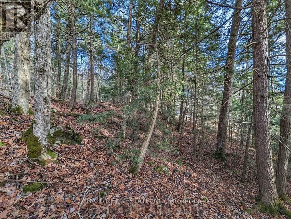 126 Fire Route 67, Havelock-Belmont-Methuen, Ontario  K0L 1Z0 - Photo 8 - X12926220