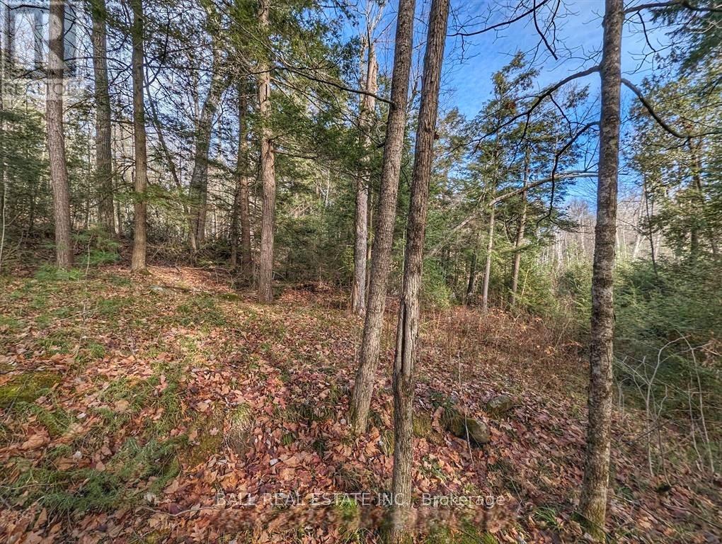 126 Fire Route 67, Havelock-Belmont-Methuen, Ontario  K0L 1Z0 - Photo 9 - X12926220