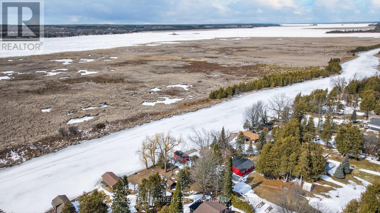 59 Cedarview Drive, Kawartha Lakes (Emily), Ontario  K0L 1T0 - Photo 13 - X12928414