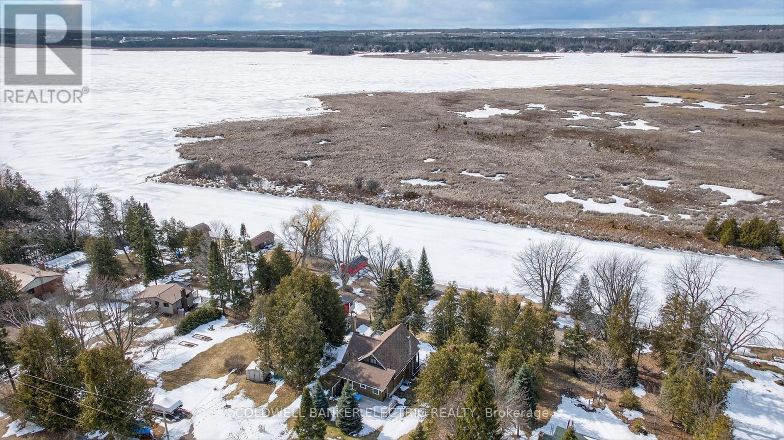 59 Cedarview Drive, Kawartha Lakes (Emily), Ontario  K0L 1T0 - Photo 14 - X12928414