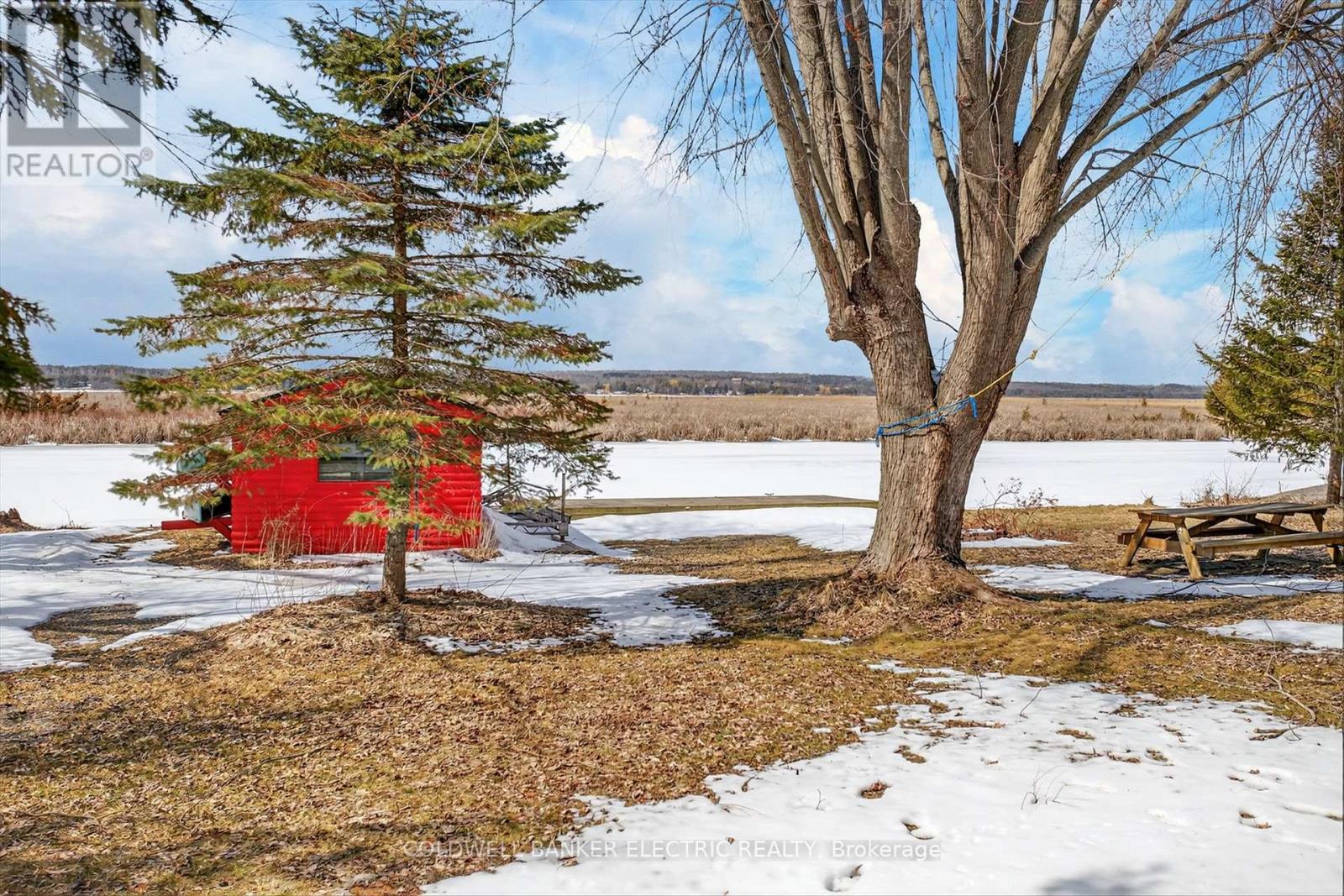 59 Cedarview Drive, Kawartha Lakes (Emily), Ontario  K0L 1T0 - Photo 38 - X12928414