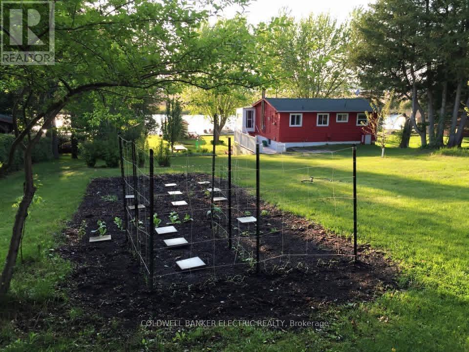 59 Cedarview Drive, Kawartha Lakes (Emily), Ontario  K0L 1T0 - Photo 44 - X12928414