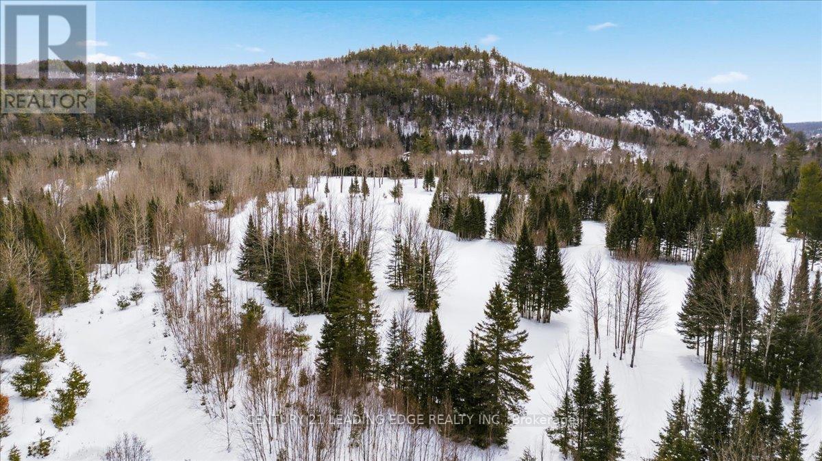 40 Bancroft Ridge Drive, Bancroft (Bancroft Ward), Ontario  K0L 1C0 - Photo 36 - X12928528