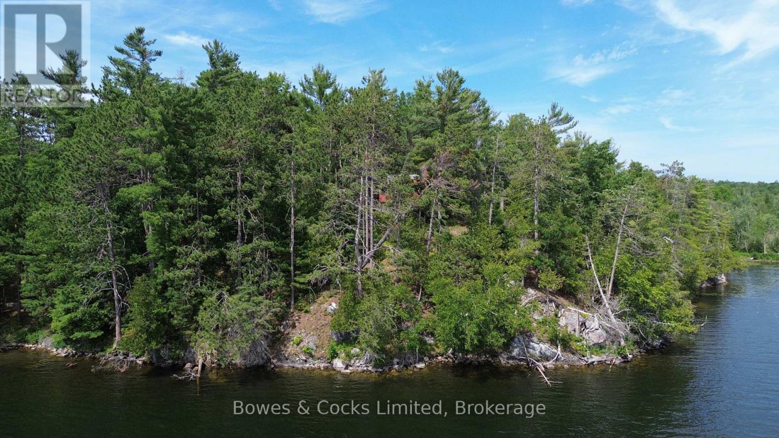 10 Fire Route 46, North Kawartha, Ontario  K0L 2H0 - Photo 5 - X12929246