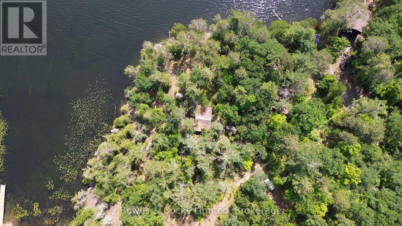 10 Fire Route 46, North Kawartha, Ontario  K0L 2H0 - Photo 7 - X12929246