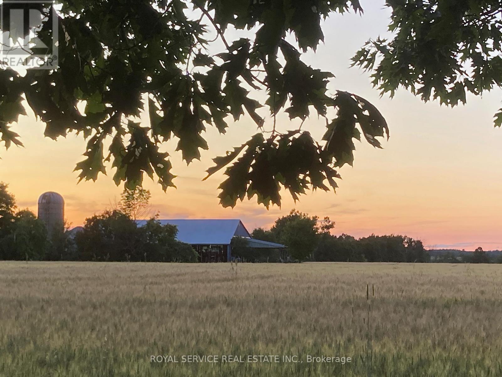 712 12th Line W, Trent Hills, Ontario  K0L 1Y0 - Photo 4 - X12933452