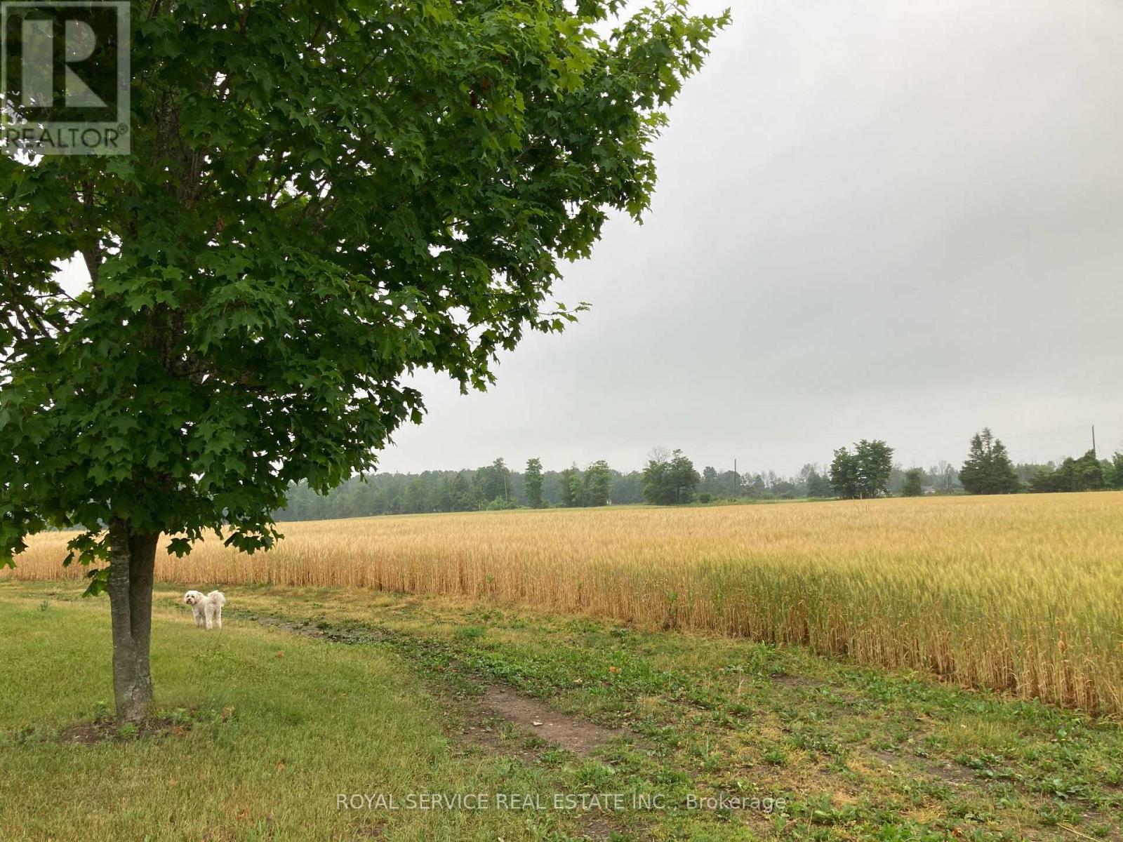 712 12th Line W, Trent Hills, Ontario  K0L 1Y0 - Photo 6 - X12933452