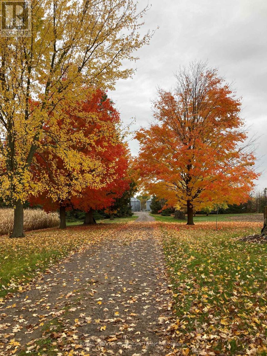 712 12th Line W, Trent Hills, Ontario  K0L 1Y0 - Photo 8 - X12933452