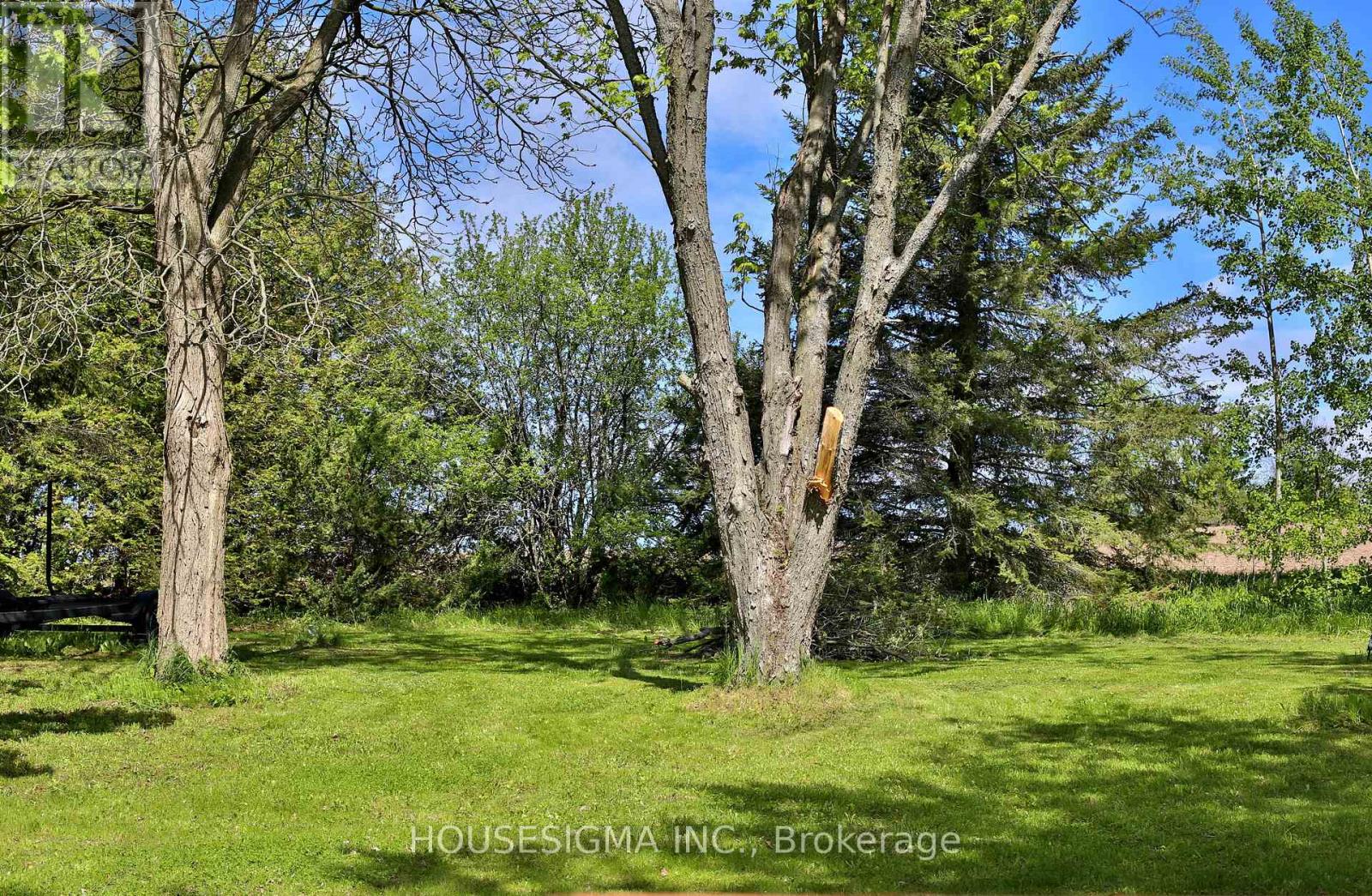 1106 Island View Dr. Drive, Otonabee-South Monaghan, Ontario  K9J 6X8 - Photo 7 - X12935058