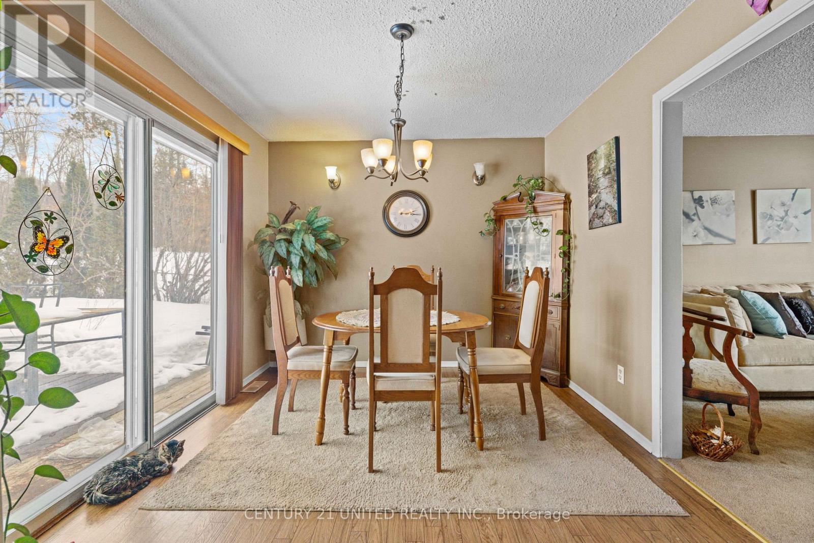 70 Mcfadden Road, North Kawartha, Ontario  K0L 1A0 - Photo 5 - X12935838