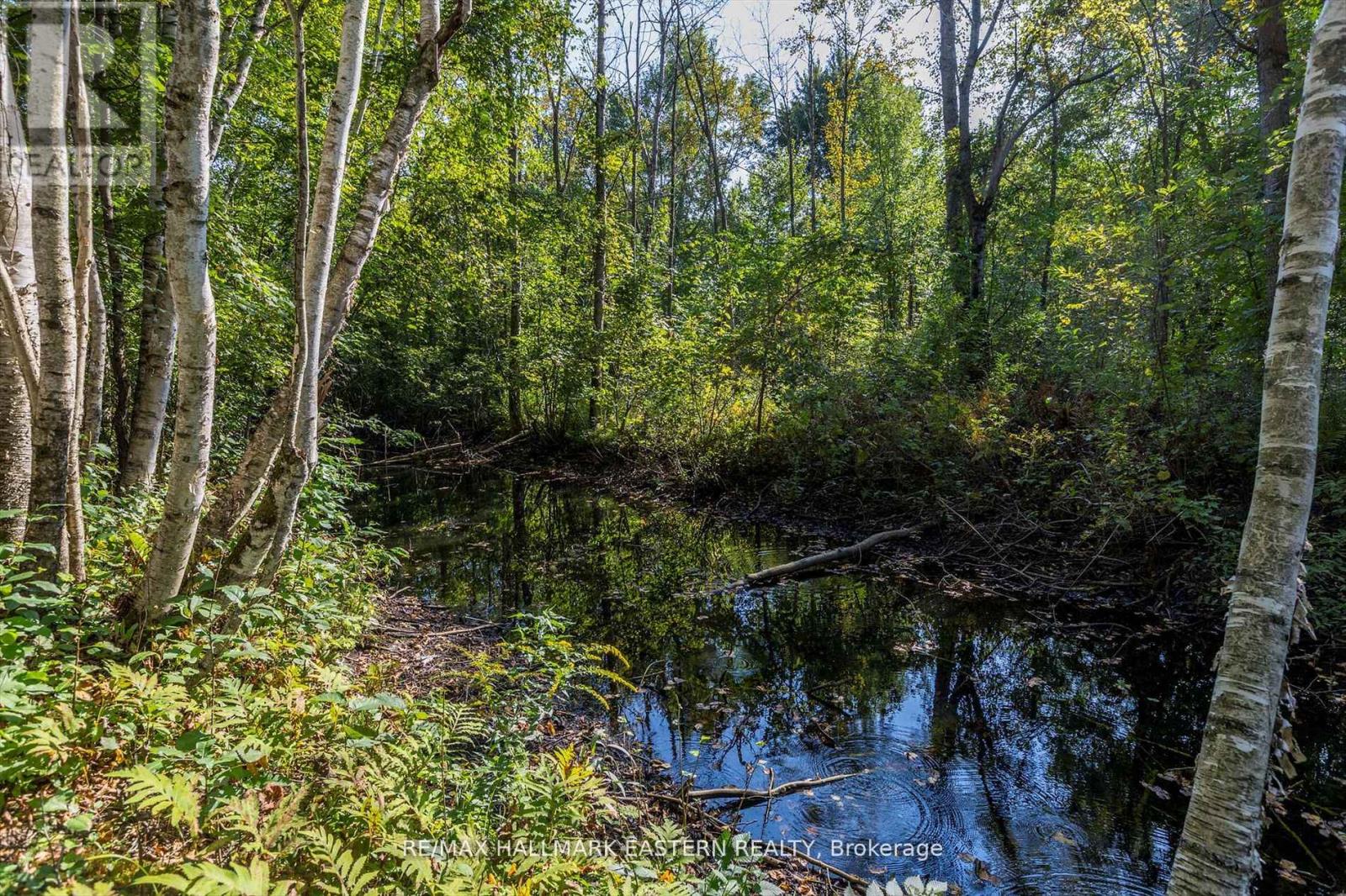 Pt Lt 13 Con 15 Trent River Road, Trent Hills, Ontario  K0L 1L0 - Photo 10 - X12936524